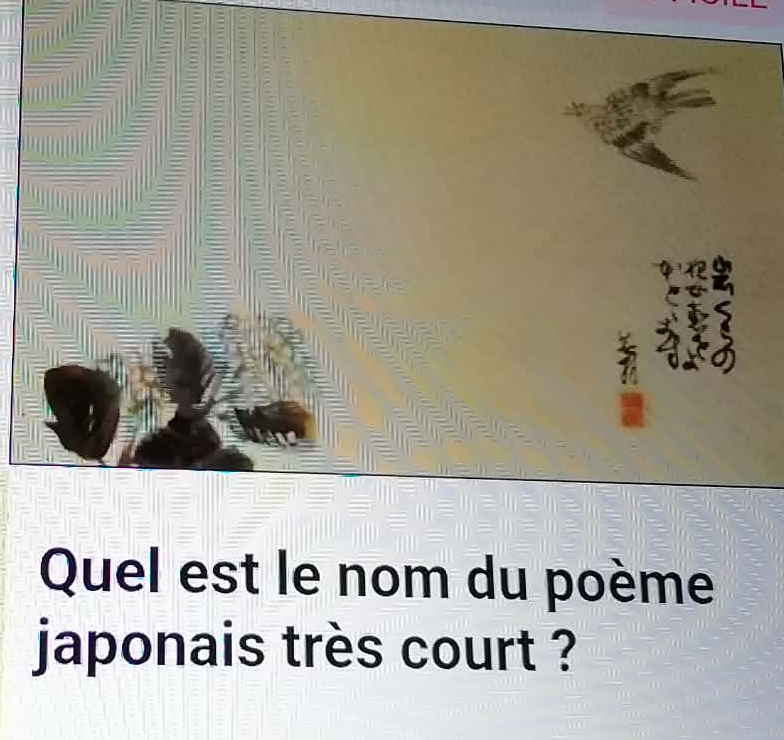 Photo C&eacute;cile 6.png (751 KB)